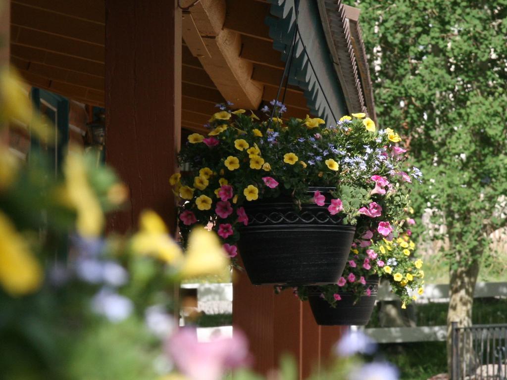 Ouray Inn מראה חיצוני תמונה